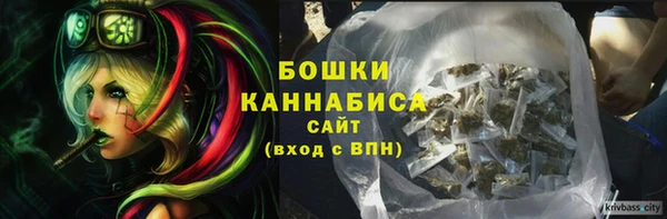 СК Елабуга
