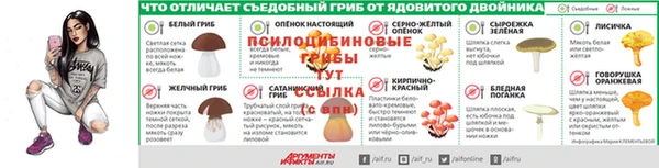 MESCALINE Елизово
