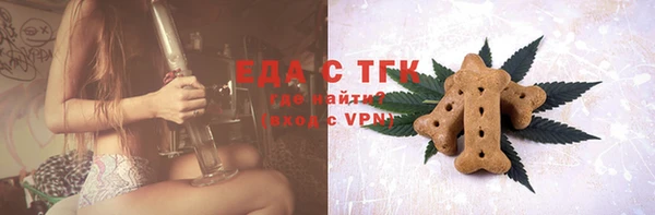 СК Елабуга