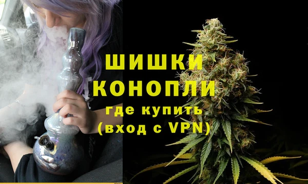 СК Елабуга