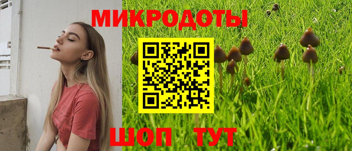 Галлюциногенные грибы Psilocybe  Зеленогорск  Псилоцибиновые грибы мухоморы 