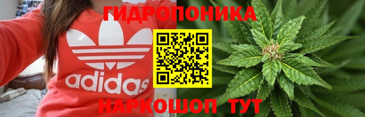 Конопля VHQ  Бошки Шишки гибрид  Зеленогорск  Вход с VPN  МАРИХУАНА Ganja 